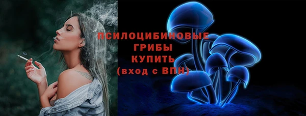 герыч Арсеньев