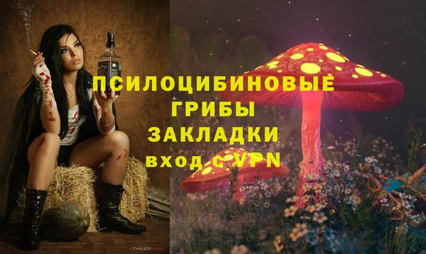 ГАЛЛЮЦИНОГЕННЫЕ ГРИБЫ Армянск