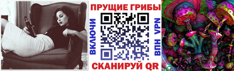 Купить где  Верхняя Тура  Псилоцибиновые грибы мицелий 