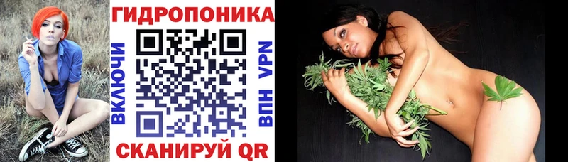 Купить закладки  Верхняя Тура  Бошки марихуана THC 21% 